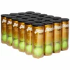 Penn Tour XD Tennis Balls (24 Can Case) FREE Shipping*